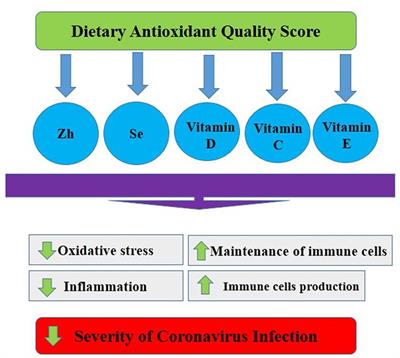 Association between dietary antioxidant quality score and severity of coronavirus infection: a case–control study